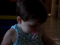 100_2781.JPG