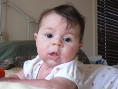 P1020010.JPG