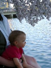 IMG_1504.JPG