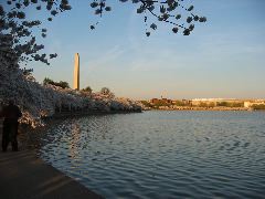 IMG_1515.JPG