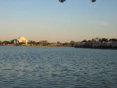 IMG_1516.JPG