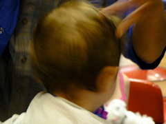 P1020440.JPG