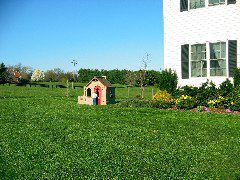 IMG_1569.JPG