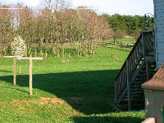 IMG_1572.JPG